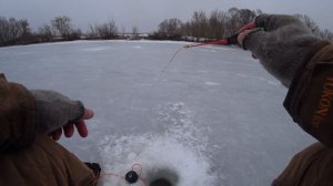 В этой протоке полно рыбы ! Зимняя рыбалка на ОКЕ! Рыбалка с ночёвкой!