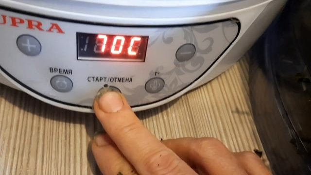 Заготовка иван-чая в 2022 году смотреть онлайн