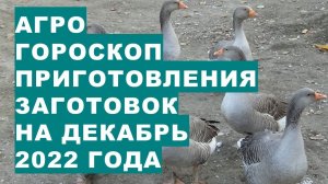 Агрогороскоп заготовок сельхозпродукции в декабре 2022 года  Агрогороскоп заготівель на грудень 2022