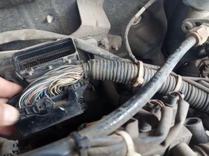 После замены стартера нет запуска ...Daewoo Gentra