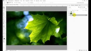 ? Роскошный 3d эффект фото !!! | Как сделать объемный фотоэффект на картинке в PhotoShop / фотошоп.