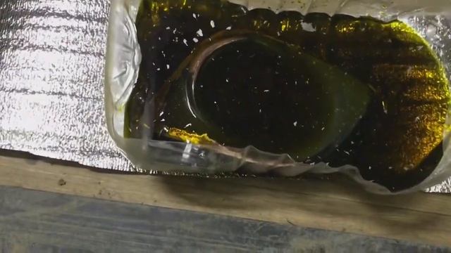 Снятие хрома с пластика ПТФ Тойота Венза смотреть онлайн