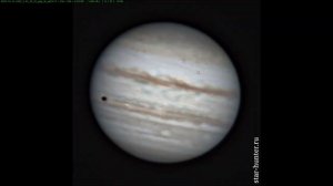 Сборка gif анимации при помощи программы PIPP