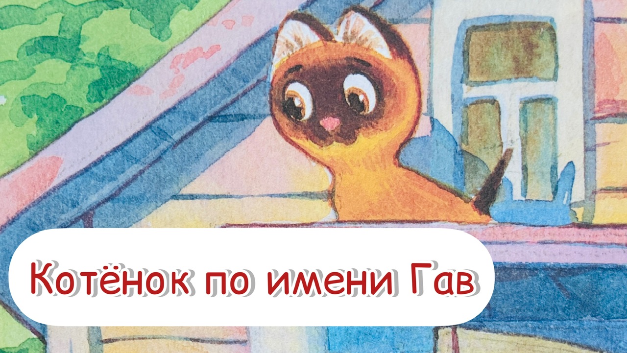 Котенок гав про неприятности. Котенок по имени Гав неприятности ждут. Сказка про неприятности. Котенок Гав одни неприятности. Котенок по имени Гав одни неприятности.