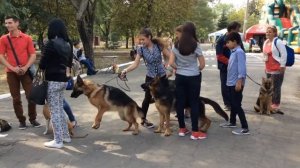 Выставка собак в Мариуполе