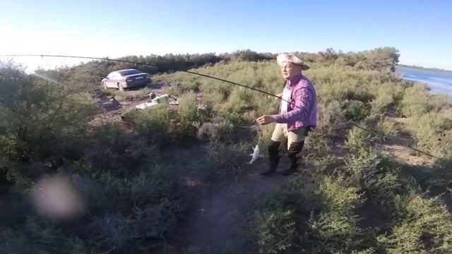 Рыбалка на Сырдарье, 27 июня 2020 смотреть онлайн