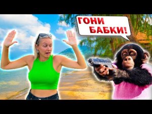 ОБЕЗЬЯНЫ НАПАДАЮТ НА ПХУКЕТЕ!!! | Пхукет Таун, гора обезьян, шопинг и ночной рынок.