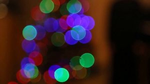 Торжествуйте, веселитесь