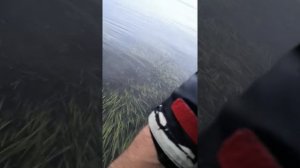 Охота на осьминогов Сахалин