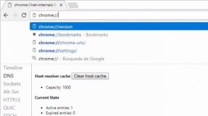 Cómo borrar la caché DNS en Chrome