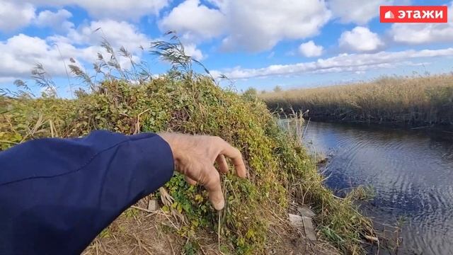 УЧАСТКИ У ПРУДА. ИЖС. Газ, водопровод, электричество.