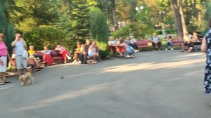 СЕЛЕН, СЕЛЕН! 27 АВГУСТА 2023 ТАНЦЫ ХАРЬКОВ УКРАИНА