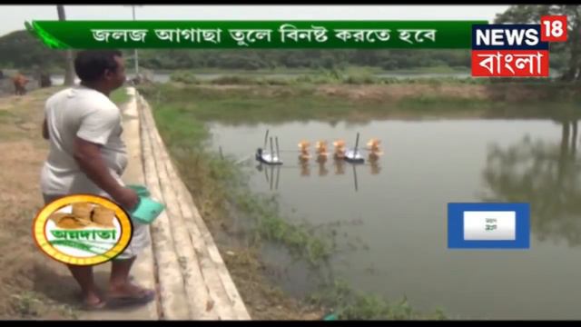 লাভজনক অর্কিড চাষ | অন্নদাতা смотреть онлайн