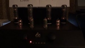 Audio Note Cobra (sample 1)