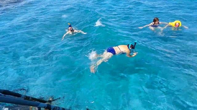 Красное море. Подводное царство. Часть 1.