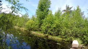 У истока реки Морье. Озеро Хепоярви. Всеволожский район