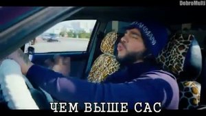 Тимати баклажан 18+