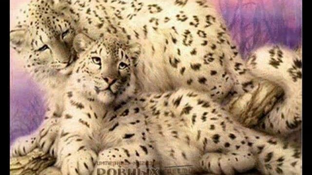 Оригинальные фотографии/картинки наших любимых схем в наборах для вышивки