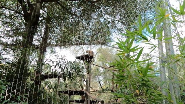 Jardim zoológico Lisboa / Lisbon zoo - Portugal смотреть онлайн