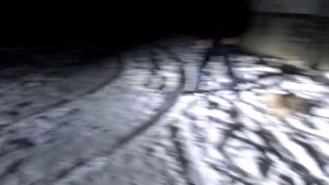 Светодиодные лампы H4 2800lm ClearLight LED (обзор)