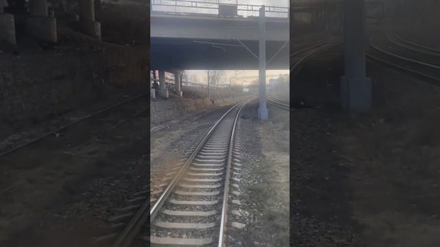 В Заводском районе на железной дороге нашли тело женщины