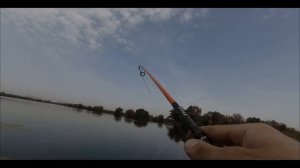 Плывёт баржа - это к рыбе! Рыбалка на Нижней Москва реке. Чулково