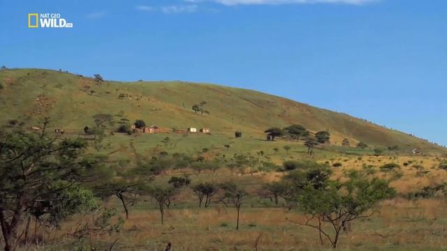 Дикая природа Южной Африки Земля гигантов 1080р