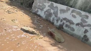 Азовское и Чёрное моря