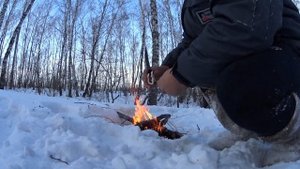 Выживание в Сибирской тайге зимой