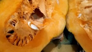 ТЫКВА СТОЛОВАЯ СОРТ ""ЛЕЧЕБНАЯ"