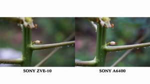 Sony ZV-E10 vs Sony A6400 | Photo Comparison Side by Side | Sony ZV-E10 Photography | 4K