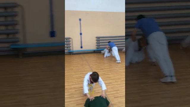 #Taekwondo#Basic # technique#OFP#Work#in pairs#Complex # technique#circular strikes#Tributary Distr