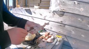 Второй день на даче зимой!!!