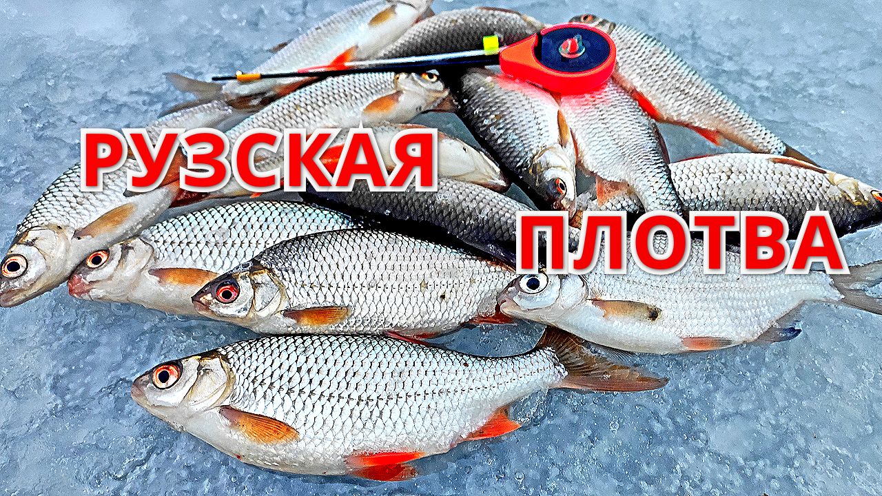 ВЕЧЕРНИЙ СУПЕРКЛЁВ.  Рыбалка на ГВОЗДИК на РУЗЕ.