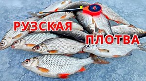 ВЕЧЕРНИЙ СУПЕРКЛЁВ.  Рыбалка на ГВОЗДИК на РУЗЕ.