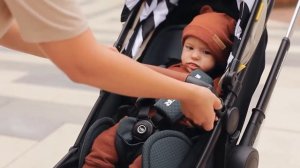 Коляска Happy Baby Mommer