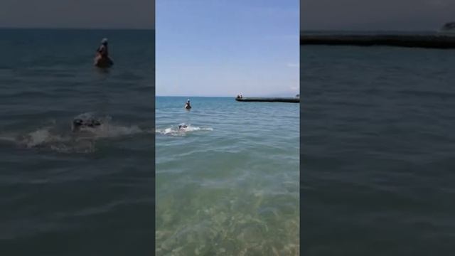 Отдых в Дивноморском 2019. Пляж "Голубая Даль"