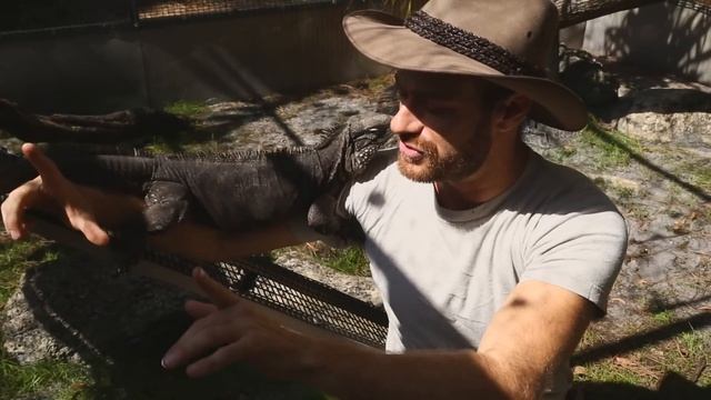 Cuban Rock Iguana : Kamp Kenan S2 Episode 8