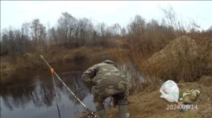 Рыбалка на болонскую удочку и донку "Крокодил"(1,8м). Псковская обл. 2024.wmv