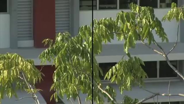 DVCPROHD vs. AVCHD@24mbps смотреть онлайн