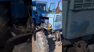 Заводим трактор Т40АМ спустя 20 лет простоя #трактор  #т40