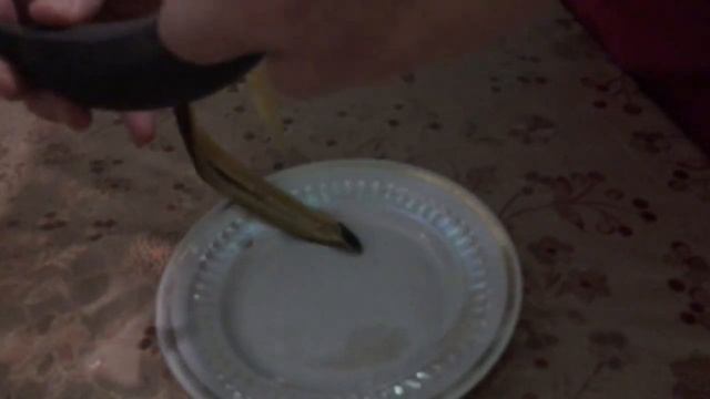 Новый вид банана) чёрная какашка)).mp4 смотреть онлайн