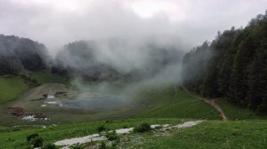 Послушайте стихи Натальи Дарованной. Память...