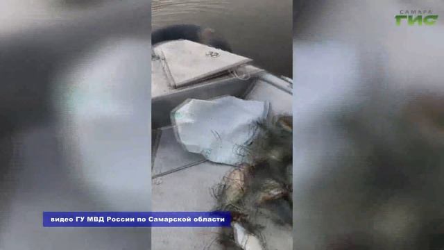 В Самарской области с 20 апреля запретили рыбачить смотреть онлайн