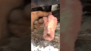 Замена масла Honda N-WGN