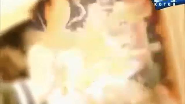 Young Turks Club (영턱스클럽) - Affection (정) смотреть онлайн