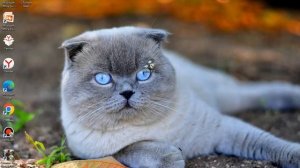 Как установить Русский язык в Windows 7||Пошаговая инструкция