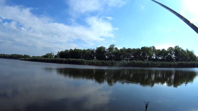 Ловля карася на маховую удочку смотреть онлайн