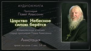 Аудиокнига "Царство Небесное силою берётся". Аннотация