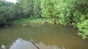 Ловля ЩУКИ на спиннинг ЛЕТОМ. Рыбалка на щуку в июне. Твичинг воблеров на микроречке.